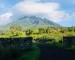 Blog banners2
